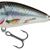 Salmo Butcher 5cm Holographic Real Dace - Floating