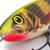 Limited Edition Salmo Sweeper 17 Colours Holo Perch - Sinking