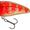 Salmo Butcher 5 floating Golden Red Head
