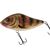 Limited Edition Salmo Slider 16 Colours Wounded Emerald Perch - 16S